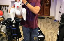 Zdjęcia z Safari Brothers Islands