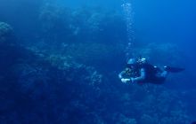 Zdjęcia z Safari Brothers Islands