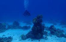 Zdjęcia z Safari Brothers Islands