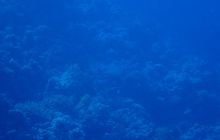 Zdjęcia z Safari Brothers Islands