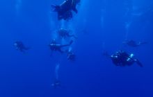 Zdjęcia z Safari Brothers Islands