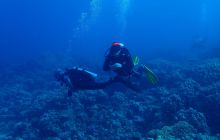 Zdjęcia z Safari Brothers Islands