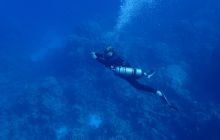 Zdjęcia z Safari Brothers Islands