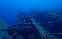 Zdjęcia z Safari Brothers Islands