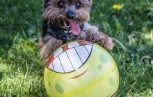 Zdjęcia z RetroNurków