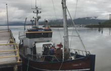 Zdjęcia z wyjazdu do Narwiku