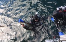 Zdjęcia z wyjazdu do Narwiku