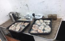 Zdjęcia z wyjazdu do Narwiku