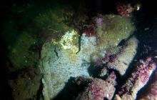 Zdjęcia z wyjazdu do Narwiku