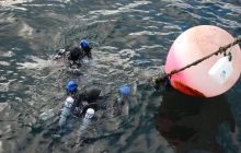 Zdjęcia z wyjazdu do Narwiku