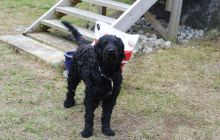 Zdjęcia z wyjazdu do Narwiku