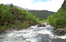 Zdjęcia z wyjazdu do Narwiku