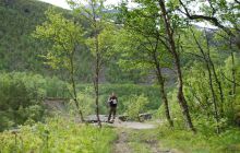 Zdjęcia z wyjazdu do Narwiku