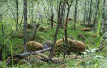 Zdjęcia z wyjazdu do Narwiku