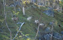 Zdjęcia z wyjazdu do Narwiku