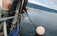 Zdjęcia z wyjazdu do Narwiku