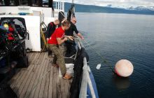 Zdjęcia z wyjazdu do Narwiku