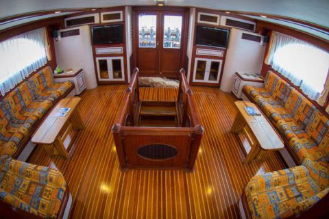 Safari nurkowe St Johns LAST MINUTE 4 500 zł. !!