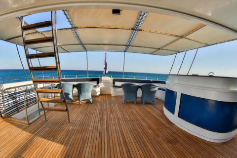 Safari nurkowe St Johns LAST MINUTE 4 500 zł. !!