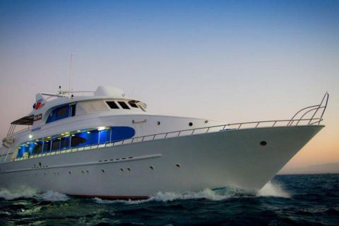 Safari nurkowe St Johns LAST MINUTE 4 500 zł. !!