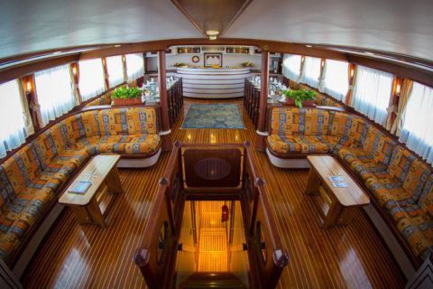 Safari nurkowe St Johns LAST MINUTE 4 500 zł. !!