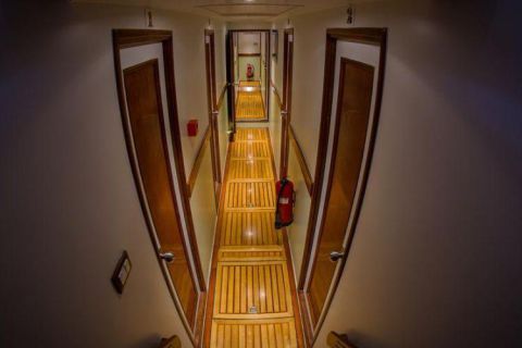 Safari nurkowe St Johns LAST MINUTE 4 500 zł. !!