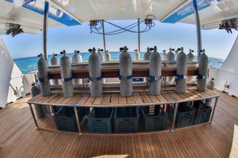 Safari nurkowe St Johns LAST MINUTE 4 500 zł. !!