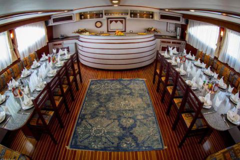 Safari nurkowe St Johns LAST MINUTE 4 500 zł. !!