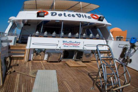 Safari nurkowe St Johns LAST MINUTE 4 500 zł. !!