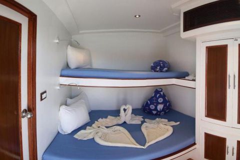 Safari nurkowe St Johns LAST MINUTE 4 500 zł. !!