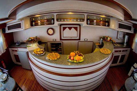 Safari nurkowe St Johns LAST MINUTE 4 500 zł. !!