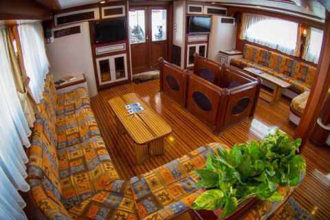 Safari nurkowe St Johns LAST MINUTE 4 500 zł. !!