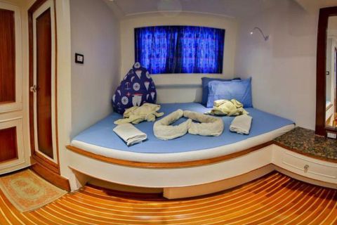 Safari nurkowe St Johns LAST MINUTE 4 500 zł. !!