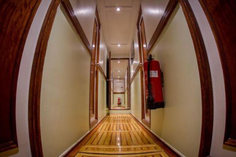 Safari nurkowe St Johns LAST MINUTE 4 500 zł. !!