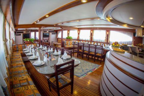 Safari nurkowe St Johns LAST MINUTE 4 500 zł. !!