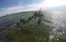 Zdjęcia z Ćwiczeń z Marszem Śledzia