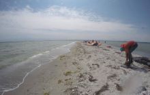 Zdjęcia z Ćwiczeń z Marszem Śledzia