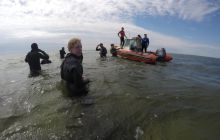 Zdjęcia z Ćwiczeń z Marszem Śledzia