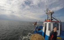 Zdjęcia z Ćwiczeń z Marszem Śledzia