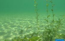 Wyjazd nad jezioro Świętajno