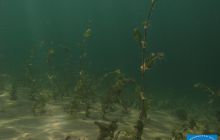 Wyjazd nad jezioro Świętajno