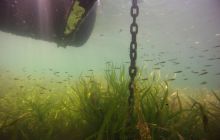 Wyjazd nad jezioro Świętajno