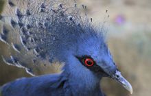 Zdjęcia z wyjazdu do Malezji 