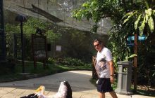 Zdjęcia z wyjazdu do Malezji 