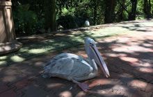 Zdjęcia z wyjazdu do Malezji 