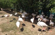 Zdjęcia z wyjazdu do Malezji 