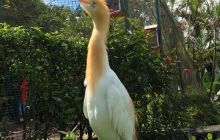 Zdjęcia z wyjazdu do Malezji 