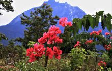 Zdjęcia z wyjazdu do Malezji 