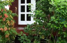 Zdjęcia z wyjazdu do Malezji 