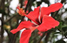 Zdjęcia z wyjazdu do Malezji 